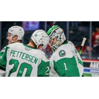 Texas Stars forward Emilio Pettersen and goaltender Remi Poirier