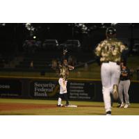 Columbia Fireflies' Brennon McNair on game night