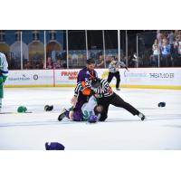 Orlando Solar Bears fight the Florida Everblades