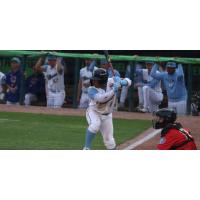 Myrtle Beach Pelicans shortstop Jose Escobar