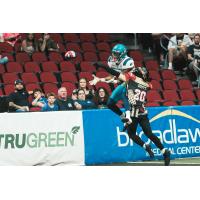 Massachusetts Pirates look for a catch against the Iowa Barnstormers