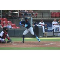 Brennon McNair of the Columbia Fireflies