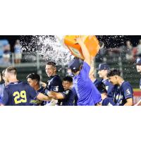 Myrtle Beach Pelicans celebrate a walk-off win