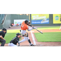 Long Island Ducks outfielder JC Encarnacion makes contact