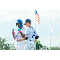Lake Country DockHounds react following a base hit