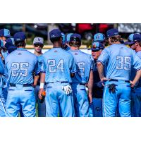 Victoria HarbourCats on game night