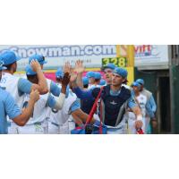 Myrtle Beach Pelicans exchange high fives