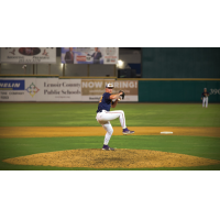 Down East Bird Dawgs on the mound