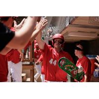Matthew Warkentin of the Winnipeg Goldeyes receives high fives