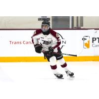 Peterborough Petes forward Gerry DiCunzolo
