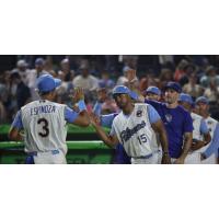 Myrtle Beach Pelicans exchange high fives with Leonel Espinoza