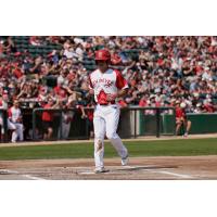Jacob Robson of the Winnipeg Goldeyes