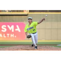 Columbia Fireflies pitcher David Shields