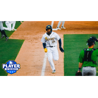 Charleston RiverDogs outfielder Angel Mateo