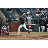 Greensboro Grasshoppers outfielder P.J. Hilson