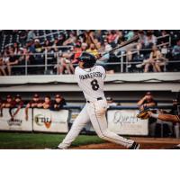 Fond du Lac Dock Spiders first baseman James Hankerson Jr.