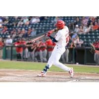 Roby Enríquez at bat for the Winnipeg Goldeyes