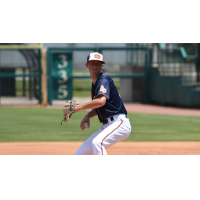 Down East Bird Dawgs deliver a pitch