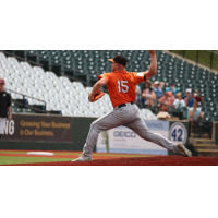 Long Island Ducks' David Griffin in action