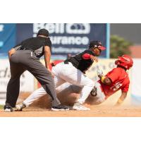 Fargo-Moorhead RedHawks apply the tag to the Winnipeg Goldeyes