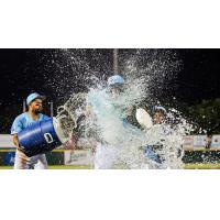 Hickory Crawdads celebrate a victory