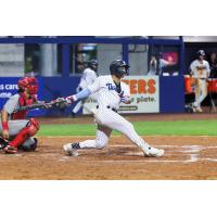 Tampa Tarpons' Juan Matheus at bat