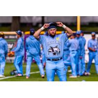 Victoria HarbourCats on game night
