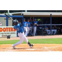 Hans Montero of the Tampa Tarpons at bat