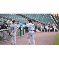 Long Island Ducks outfielder Chris Roller (left) and infielder Troy Viola