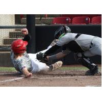Kurtis Byrne of the Sioux City Explorers slides into home