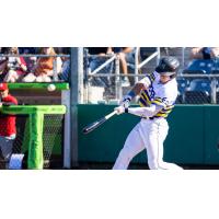 Carson Jones of the Everett AquaSox
