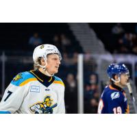 Forward Easton Armstrong with the Atlanta Gladiators