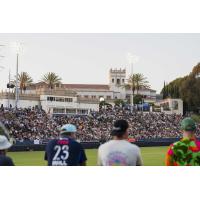 A big crowd watches San Diego Wave FC